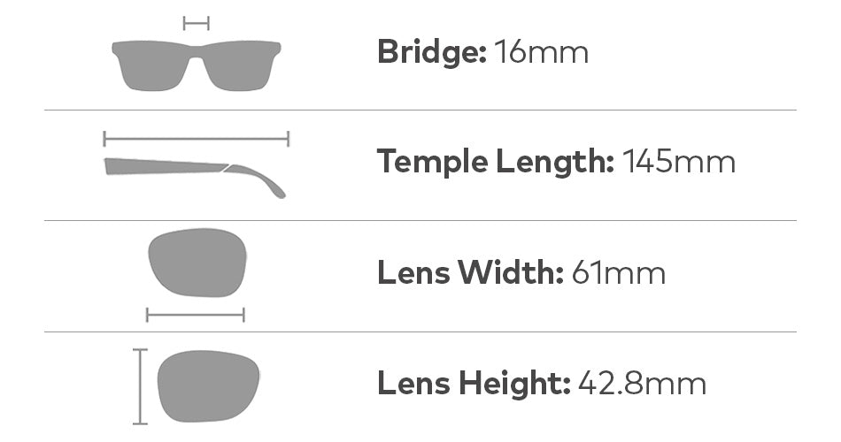 DAMIEN - Matte Tortoise with Lumalens Brown Lens