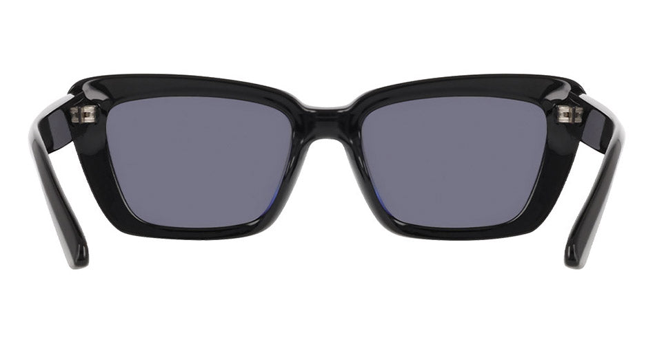 SAGE - Shiny Black with Polarized Lumalens Smoke Lens