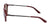 FALLON - Shiny Oxblood with Lumalens Brown Lens