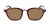 FALLON - Shiny Oxblood with Lumalens Brown Lens